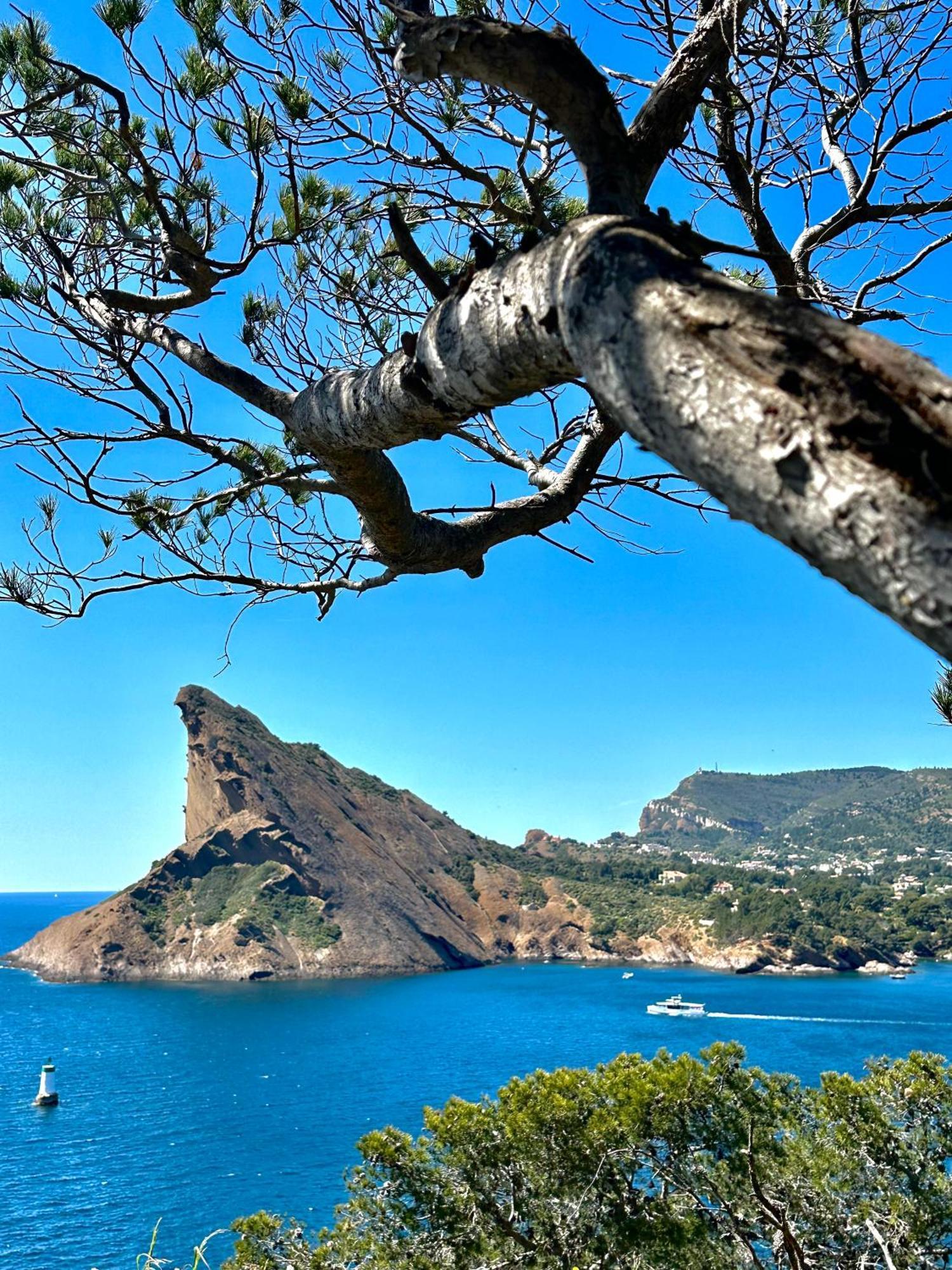 L'Alceste La Ciotat Extérieur photo